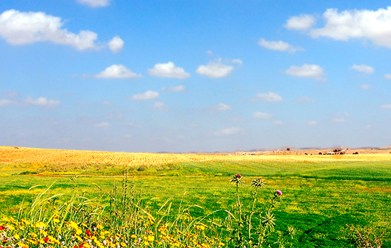 �����µķ磬ů͸ϣ������Ұ